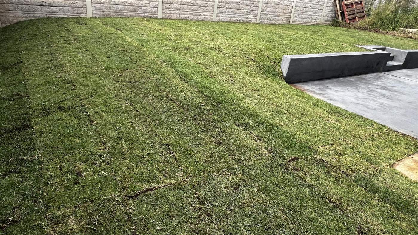 Landscaping Project 6
